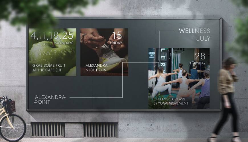 金溪县画册设计公司如何进行品牌审核